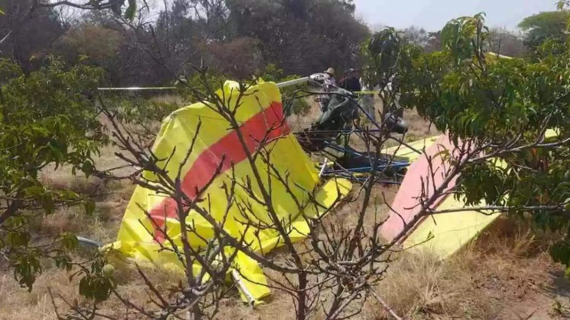 se desploma avión ultraligero en cohuecna